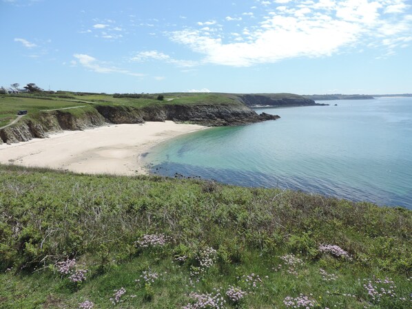 بالقرب من الشاطئ