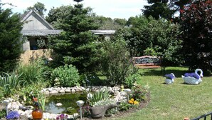 A garden with a pond, swans, and a gazebo. - Bungalow in Zweedorf, Ostsee (Bastorf)