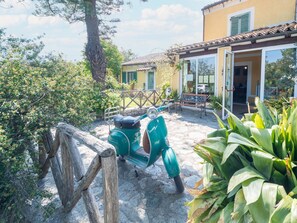 House | Property grounds