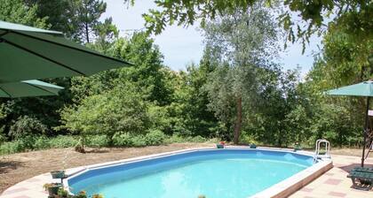 Charming House on the Plot