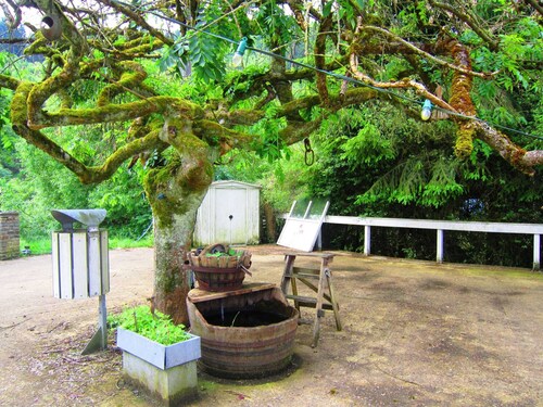 Group Getaway With Sauna