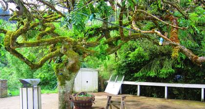 Group Getaway With Sauna