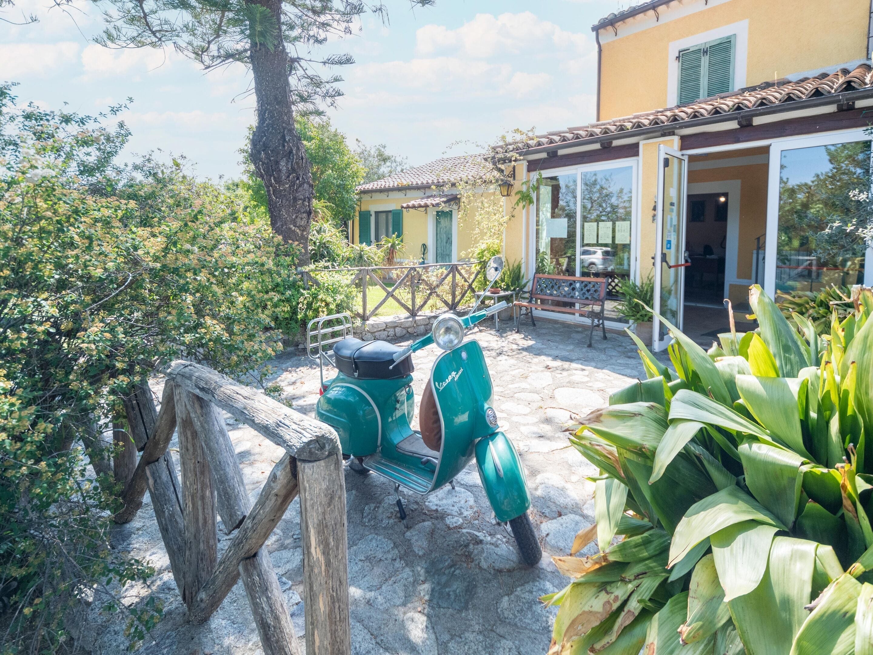 House | Property grounds