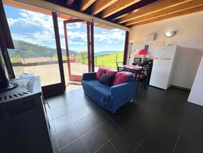 TV, lareira, livros