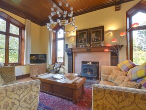 Fireplace, DVD player - Unique Mansion in Battle with Garden near City Center (Battle)