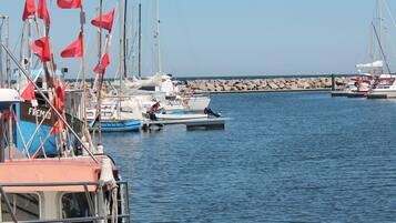 Bungalow | Blick von der Unterkunft