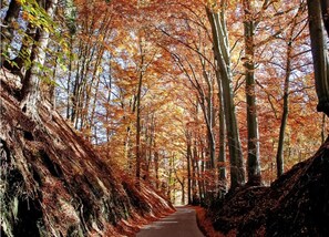 Vue depuis l’hébergement