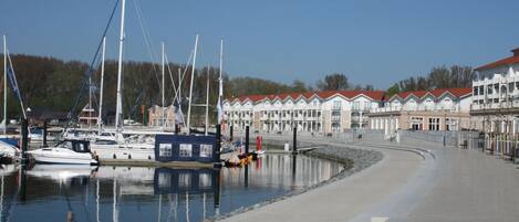 Casa | Vista desde la propiedad