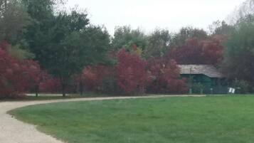 Apartment | View from property