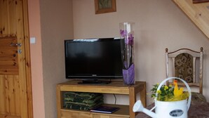 Ein Zimmer mit Fernseher auf einem Holzboden, einer Vase mit violetten Blumen und einer weißen Gießkanne mit gelben Blumen.