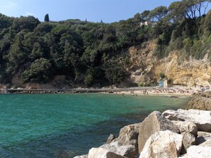 Una zona costiera con terreno roccioso, una spiaggia e una scogliera ricoperta di vegetazione.