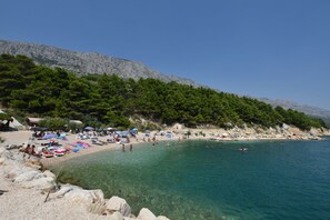 Ranta
