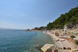 해변