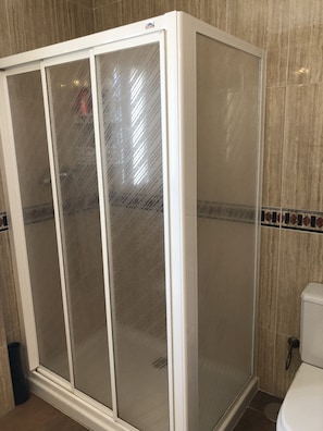 Shower, hair dryer, bidet, towels