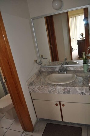 Bathroom - Centrico con Seguridad y Alberca (Querétaro)