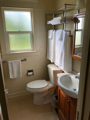 Duschwanne, Haartrockner, Handtücher, Seife