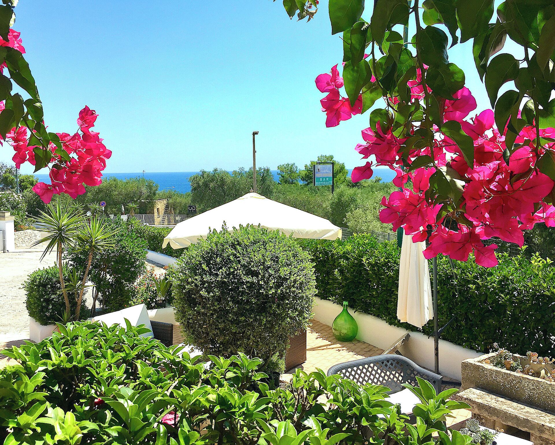 A garden with a white umbrella, a green bush, and a view of the sea.