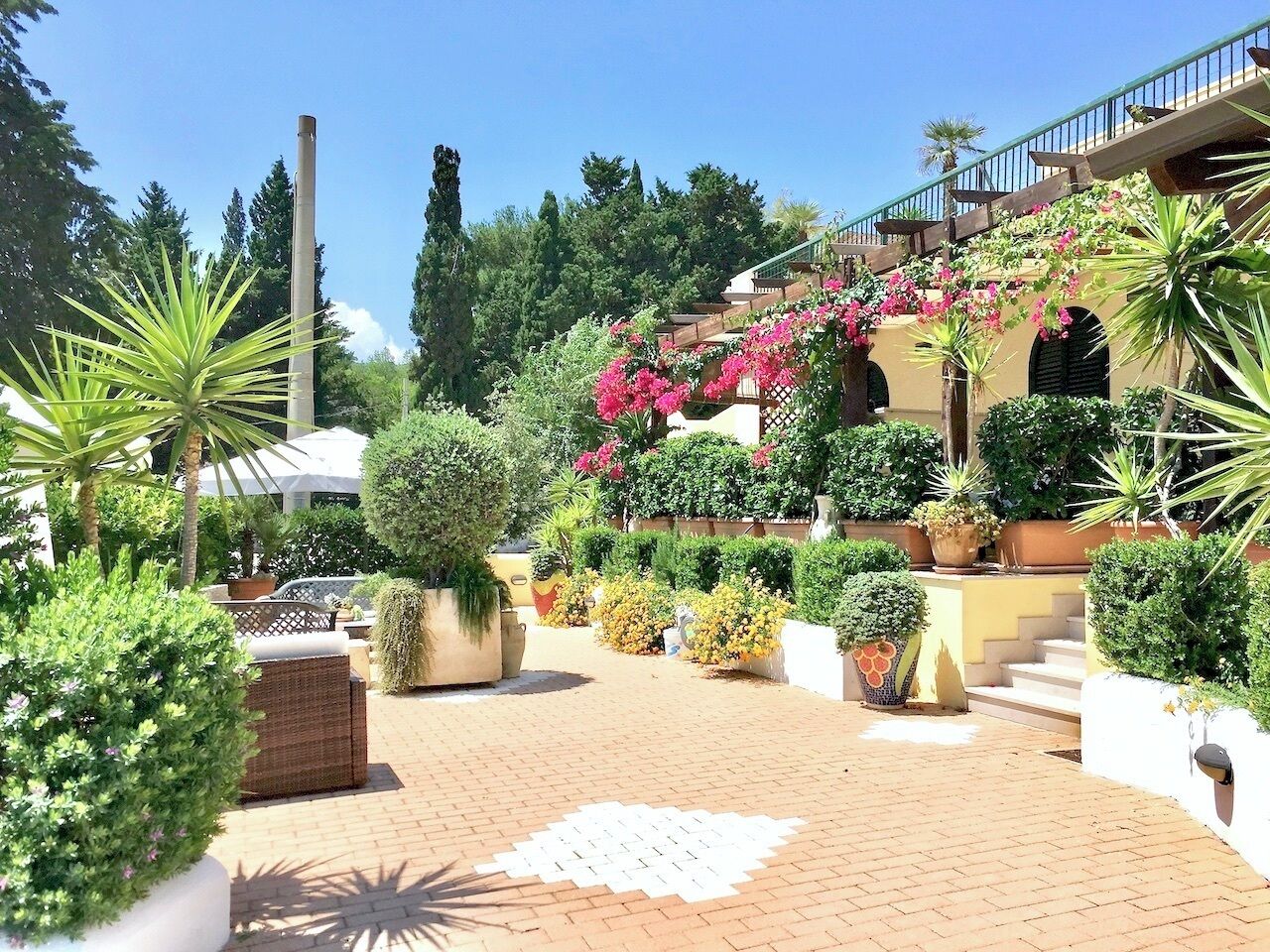 A courtyard with a paved walkway, potted plants, and outdoor furniture.