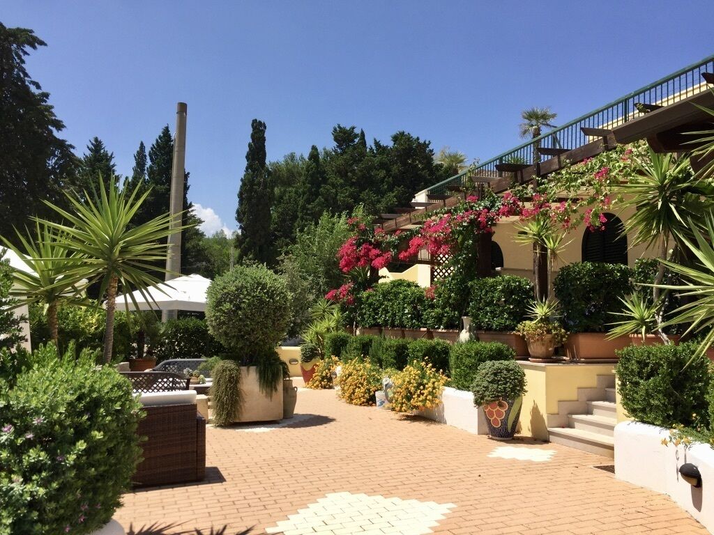 A courtyard with a paved walkway, potted plants, and a staircase leading to a building.