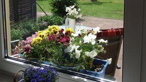 A window with a view of a garden, a wicker basket with flowers, and a blue pot on a windowsill.