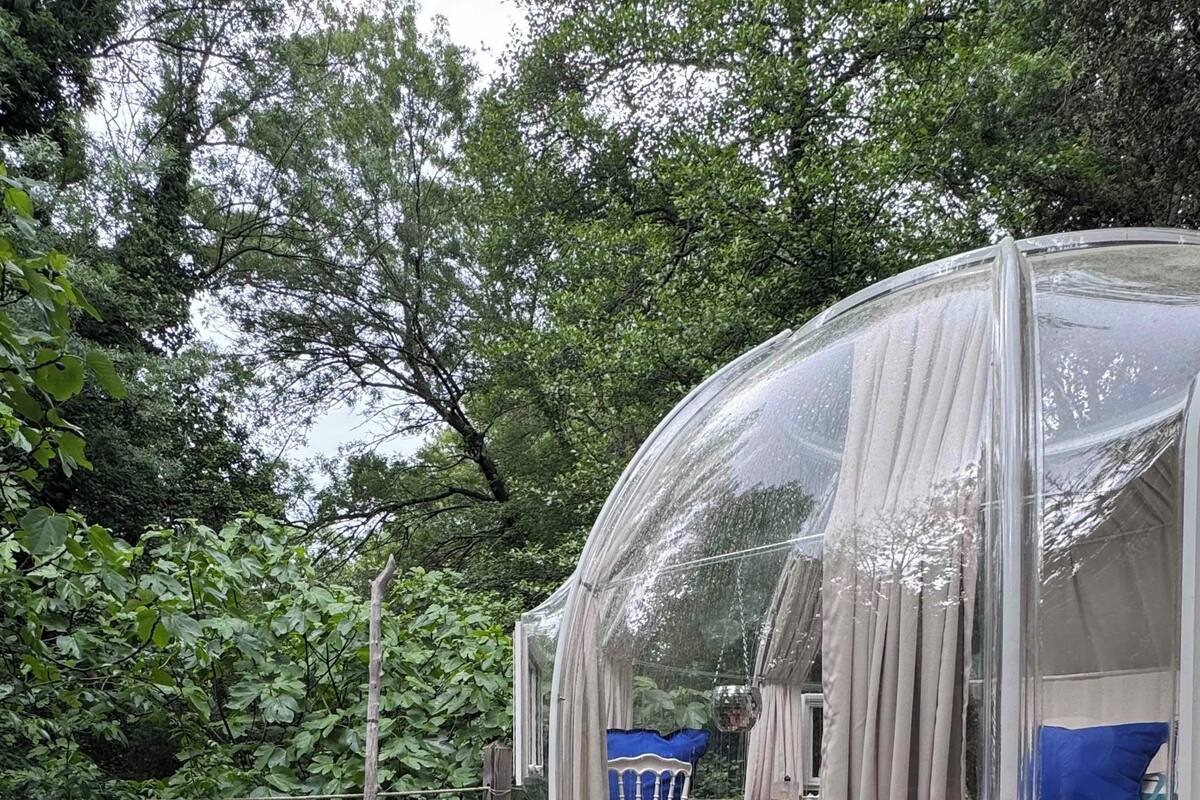 Eine transparente Kuppelkonstruktion mit einer Holzterrasse und einem kleinen Tisch, umgeben von üppiger Vegetation.