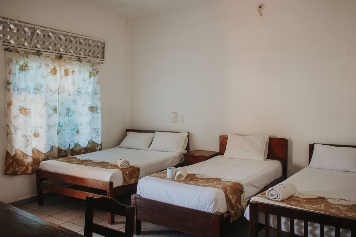 Una habitació amb tres llits individuals, cadascun amb un capçal de fusta, roba de llit blanca i un edredó marró amb dibuixos. Al primer pla hi ha una cadira de fusta, i una finestra amb cortines estampades de flors.