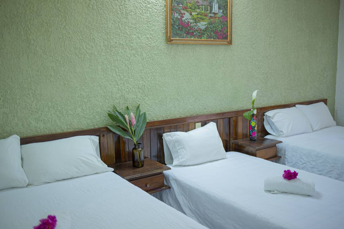 Habitació d'hotel amb dos llits, una tauleta de nit, un vas amb flors i un quadre a la paret.