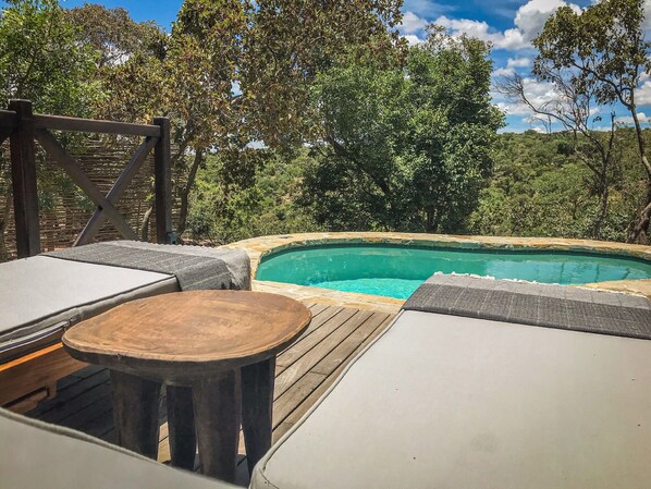 Luxury Suite | 1 bedroom, free minibar, in-room safe, desk - Laluka Safari Lodge (Vaalwater)