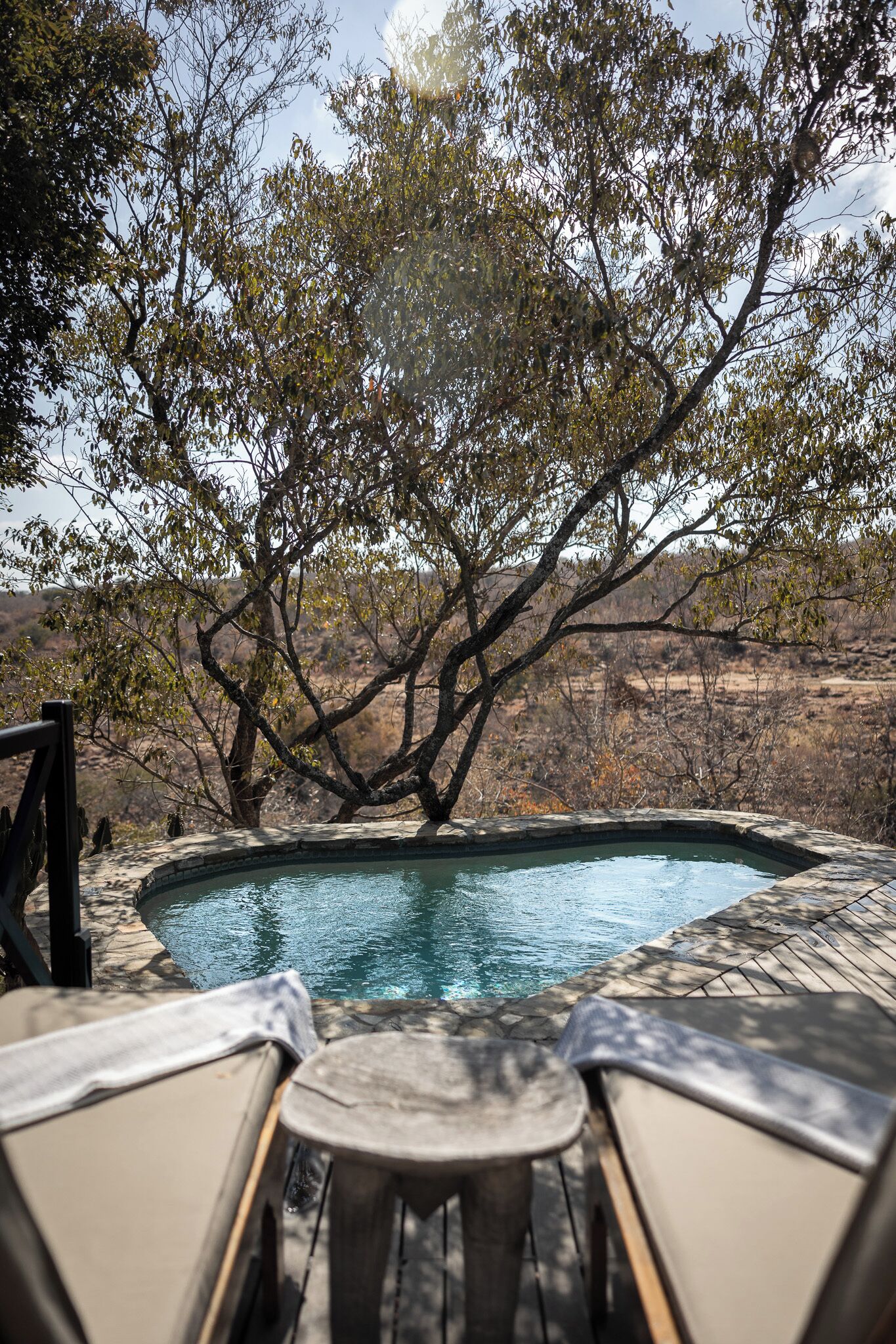 Un espace piscine avec vue sur un arbre et un ciel dégagé.