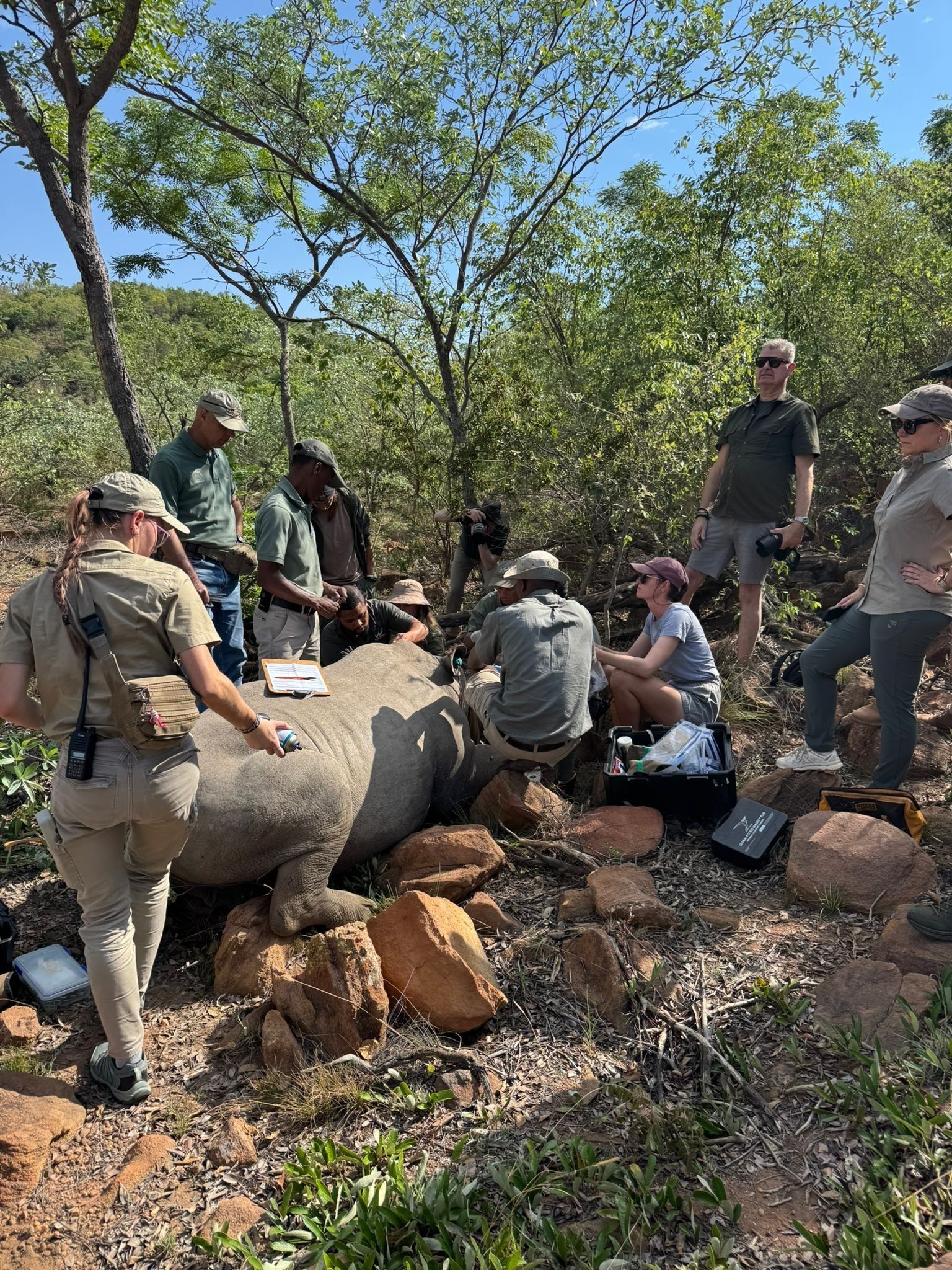 Un grupo de personas cerca de un animal grande en un entorno natural, con árboles y rocas.