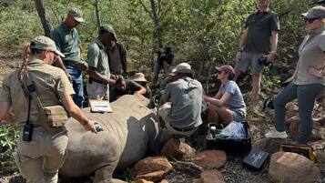 Un grupo de personas cerca de un animal grande en un entorno natural, con árboles y rocas.
