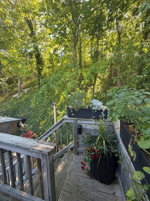 Une terrasse en bois agrémentée de plantes en pot et offrant une vue sur une zone boisée.