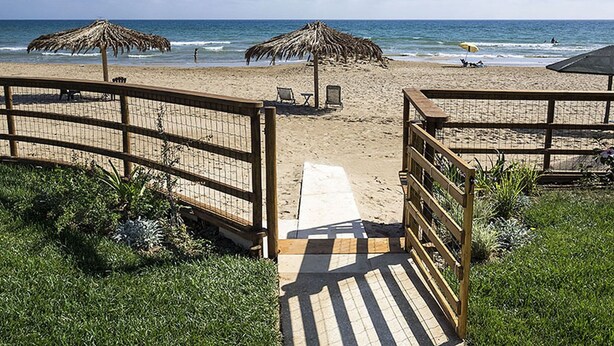 Ein Strand mit einer Holzpromenade, die zum Ufer führt, mit Reetsonnenstühlen und Liegen.