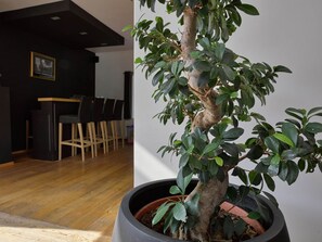 House | Dining - Holiday Home in Spa Near Thermal Baths (Spa)