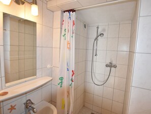 Shower area features a showerhead, handheld shower attachment, and a toilet with a mirror above.