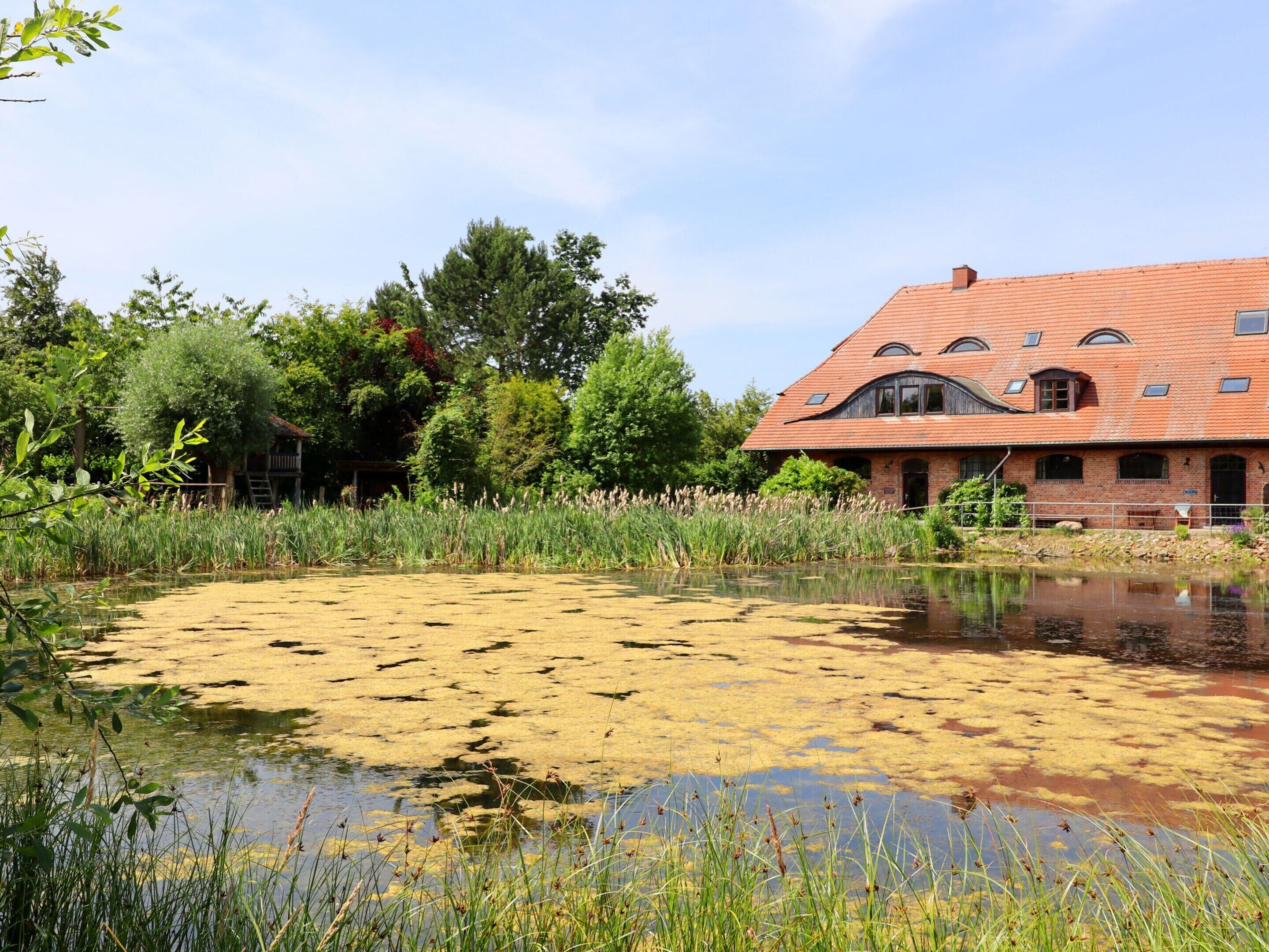 A large brick building with a red-tiled roof and multiple windows, surrounded by lush greenery and a pond with lily pads.