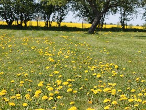 Apartment | Blick von der Unterkunft