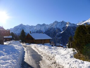 Property grounds - Lovely apartment for 4 guests with WIFI, TV, patio and pets allowed (Grächen)