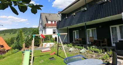 Apartment With Meadow View in Wildemann