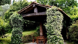 A rustic wooden structure with a bench and a table, surrounded by lush greenery and flowering plants. - Peaceful Apartment, Ghizzano (Peccioli)