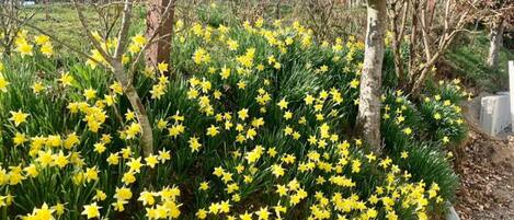 シャレー | 施設からの眺望