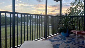 A balcony with a view of a grassy area and trees, a potted plant, and a patterned rug.