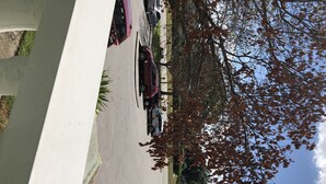 A parking area with multiple cars, a building with a white facade, and trees with autumn leaves. - On top of the world condo  (Clearwater)