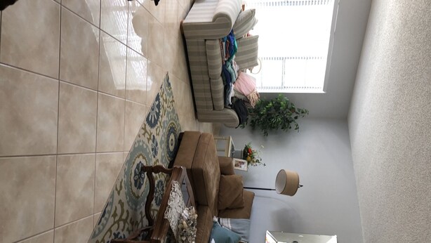 A living room with a patterned rug, a brown sofa, a white armchair, and a coffee table. There is a window with blinds, a potted plant, and a lamp on a stand. - On top of the world condo  (Clearwater)