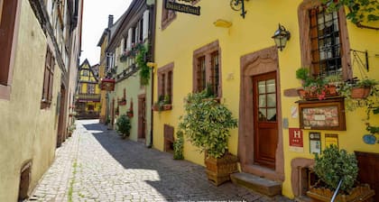 Charming apartment in a 17th century Alsatian house. renovated, quiet