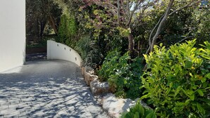 A paved pathway leading to a building with a white facade, surrounded by lush greenery and flowering trees. - The Mount,  2 ensuite double rooms by The Royal William Yard (Plymouth)