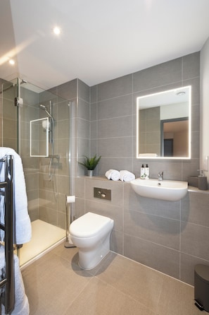 Shower, hair dryer, towels, soap