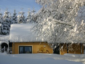 House | Exterior - Apartment in Saxony With Terrace (Crottendorf)