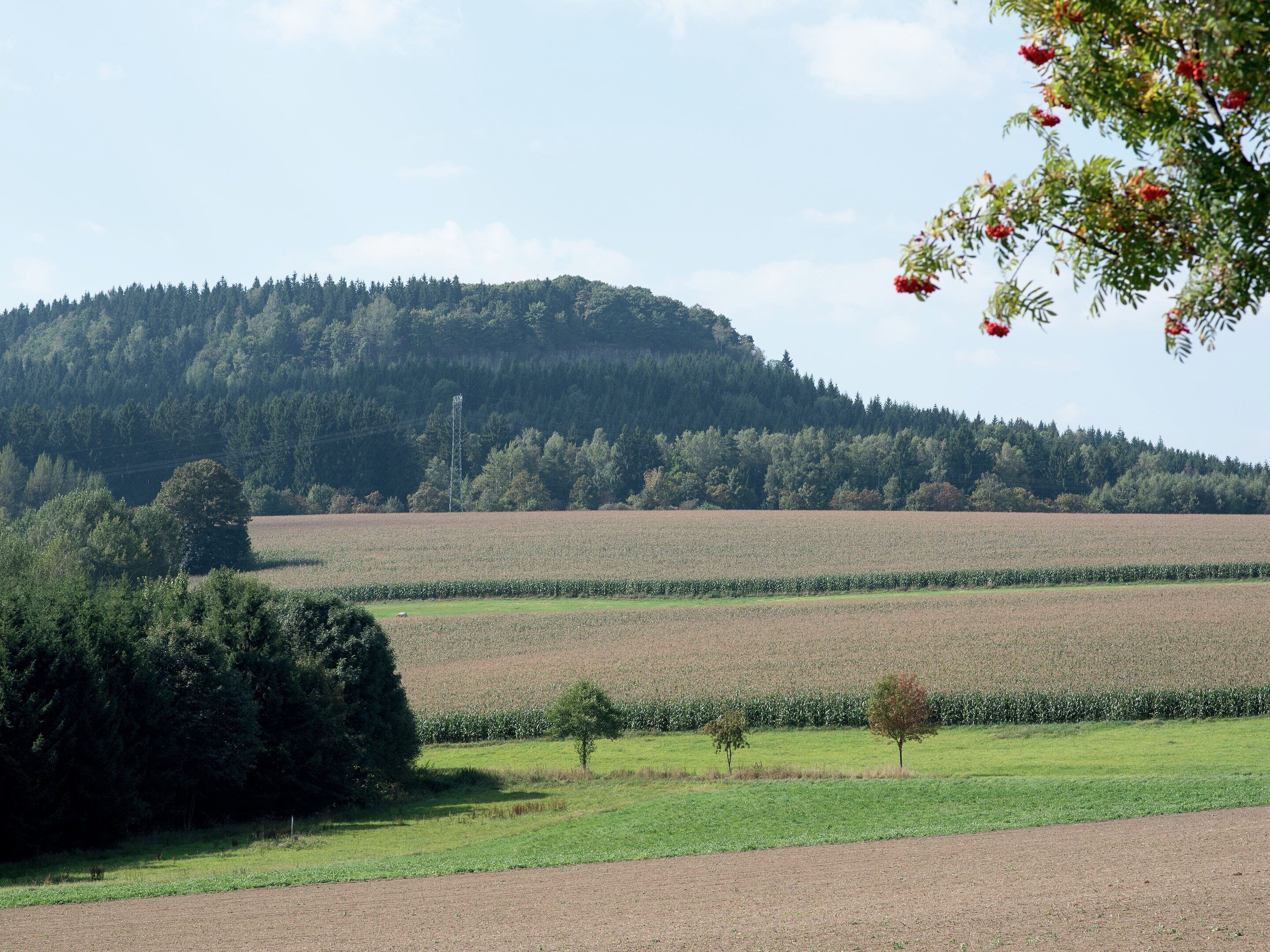 A rural landscape with fields, a forested hill, and a power line tower.
