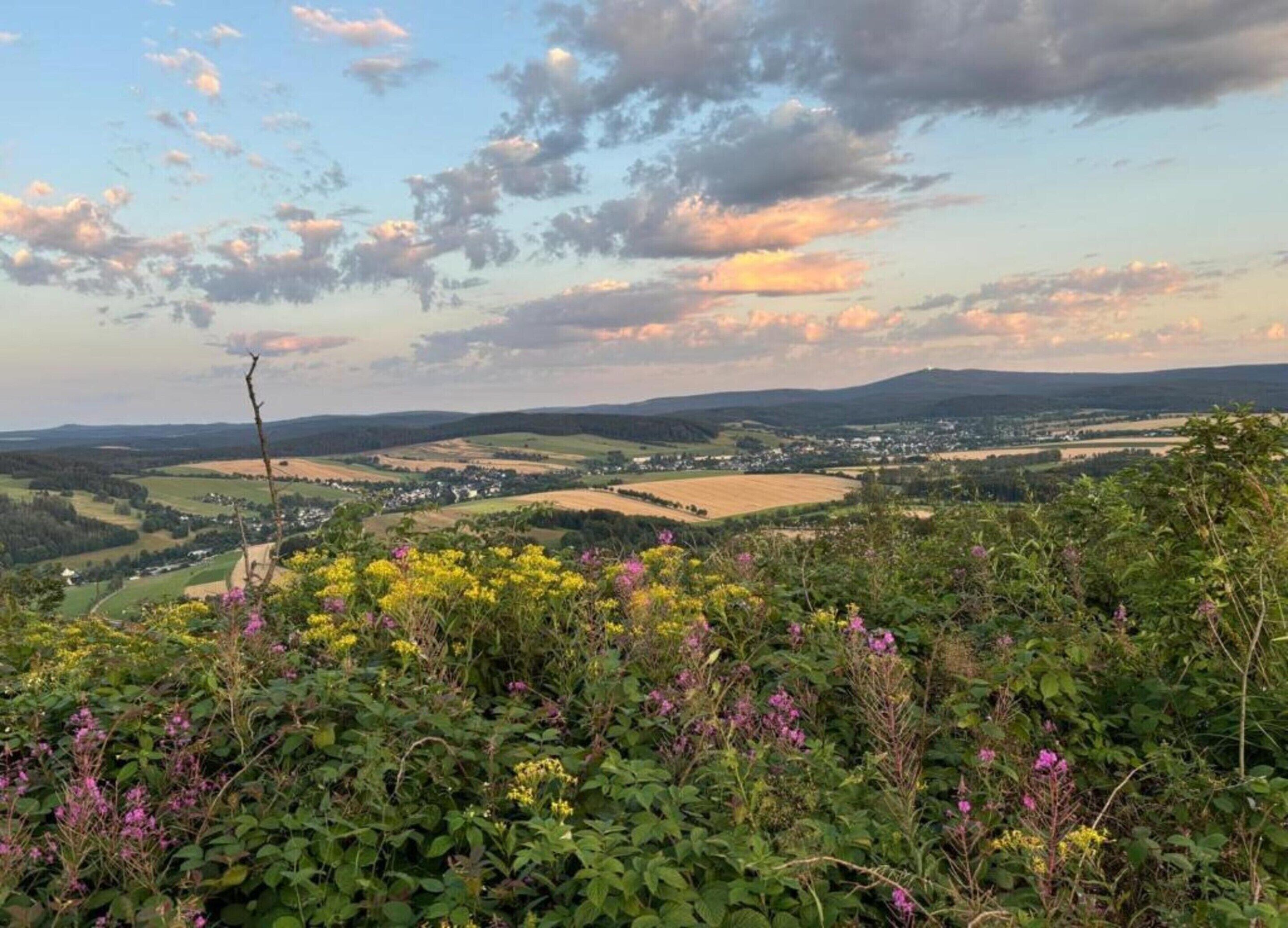 A panoramic view of a rural landscape with rolling hills, a small village, and a variety of wildflowers in the foreground.